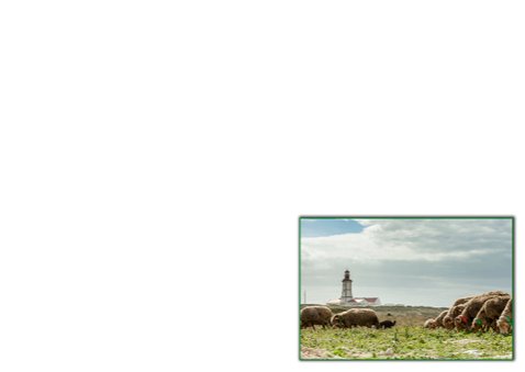 vuurtoren aan de kust 3