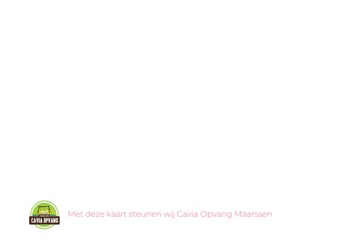 Wenskaart cavia hugs & kisses 2