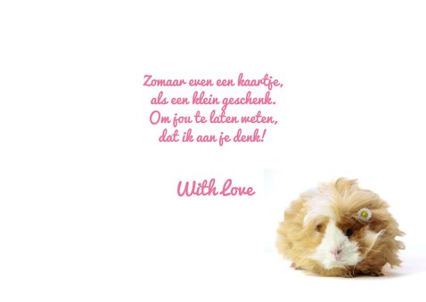 Wenskaart cavia hugs & kisses 3