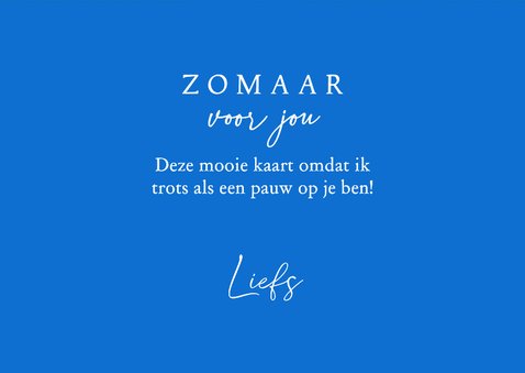 Wenskaart pauw felle kleuren 3