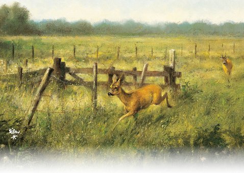 Wenskaart twee herten 2