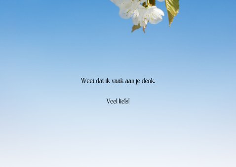 Wenskaart witte bloesem veel liefs 3