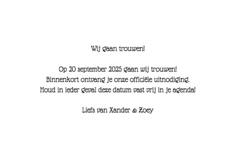 Wij zijn verloofd! - DH 3