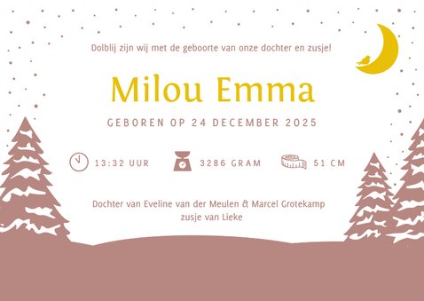 Winters geboortekaartje meisje met 2 zusjes in een bakfiets 3