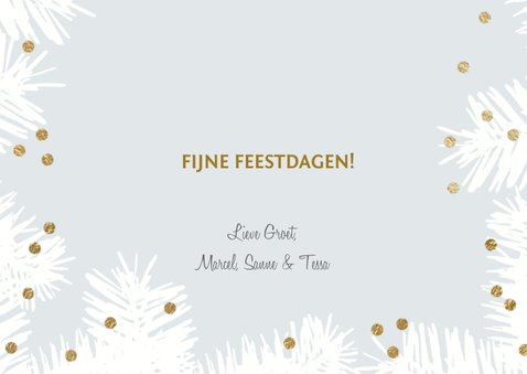 Winterse kerstkaart dennentakken foto 3
