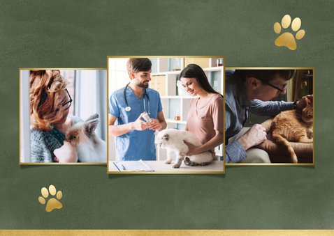 Zakelijke kerstkaart dierenkliniek met gouden poot & foto 2