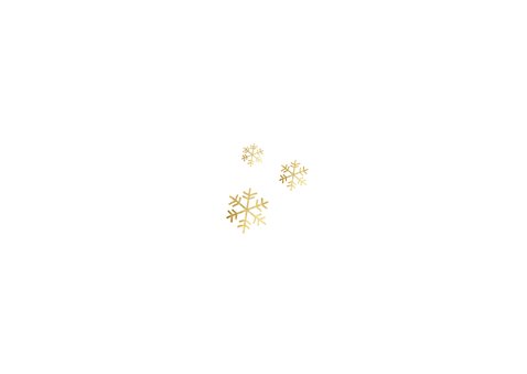 Zakelijke kerstkaart goud sneeuw foto's logo bedankt Achterkant