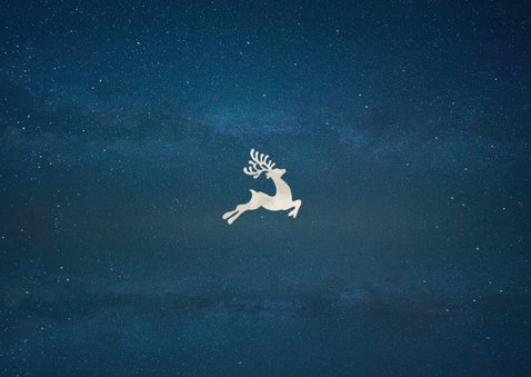 Zakelijke kerstkaart met eigen foto en kerstman in arrenslee Achterkant