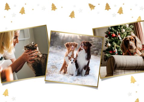 Zakelijke kerstkaart met goudlook dierenpootjes en foto 2