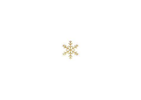 Zakelijke kerstkaart stijlvol sneeuwvlokjes goud foto's Achterkant