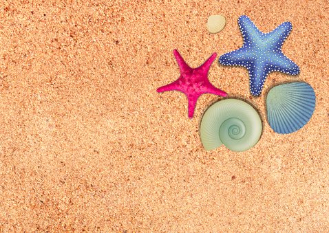 zeesterren vakantiekaart 2