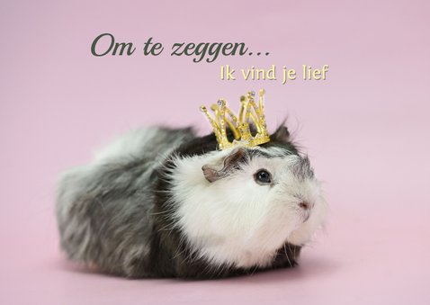 Zomaar een lieve groet met schattige cavia. 2