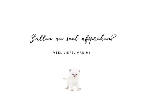 Zomaar kaart - Kittens - Gezellig een bakkie doen? 3