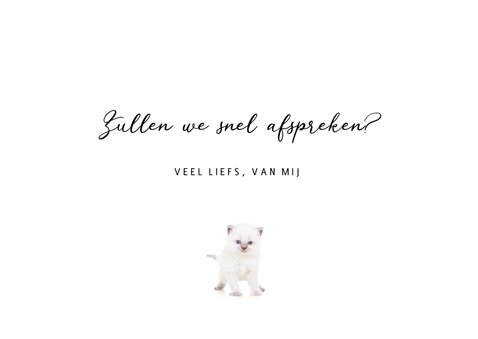 Zomaar kaart - Kittens - Gezellig een bakkie doen? 3