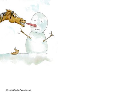 Zomaar kaarten warme wintergroet Sjors met sneeuwpop 2