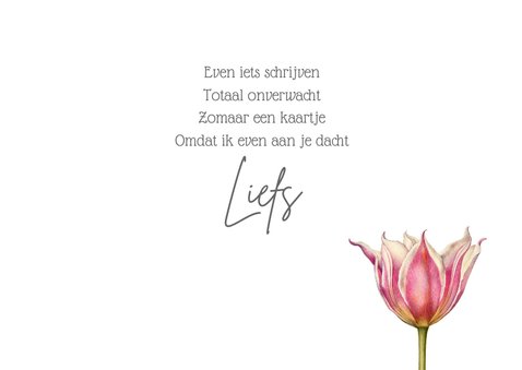 Zomaar kaartje openbloeiende tulp 3