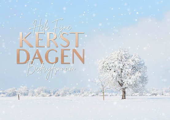 Zakelijke Kerstkaarten | Kerstkaart Zakelijk | Kaartje2go