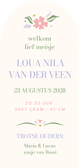 Hip pastel geboortekaartje bloemen langwerpig met boog Achterkant