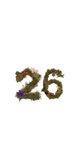 Kerstkaart natuur 2026 en 1 foto Achterkant