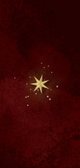 Kerstlunch menu menukaart sterren goud rood Achterkant