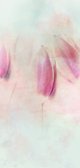 Rouw bedankkaart tulpen zacht pastel Achterkant