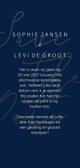 Save the date kerstkaart met gouden tekst langwerpig Achterkant