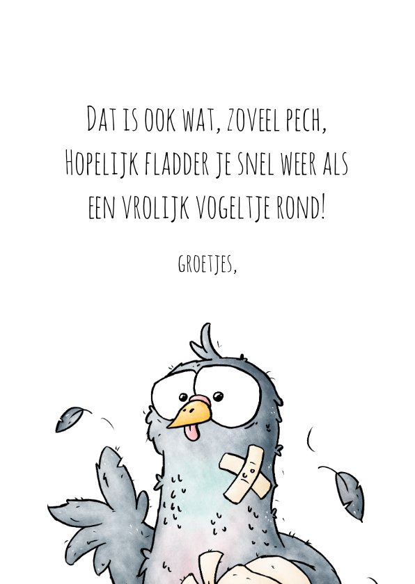 Beterschapskaart duif pechvogel Kaartje2go