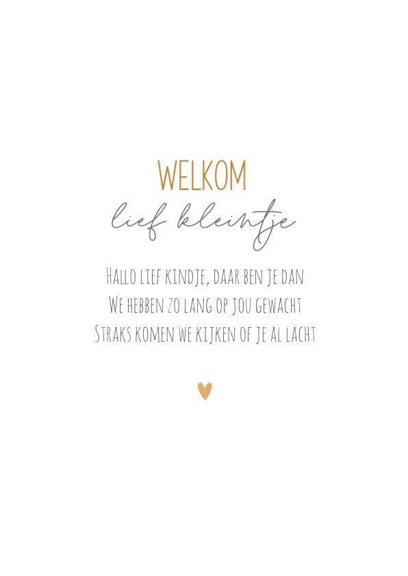 12 stuks wegwerpbordjes met bruin berenmotief voor een babyshower