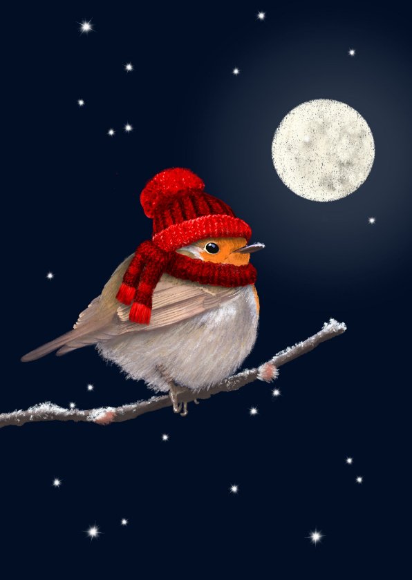 Kerstkaart roodborst rode muts - Kerstkaarten | Kaartje2go