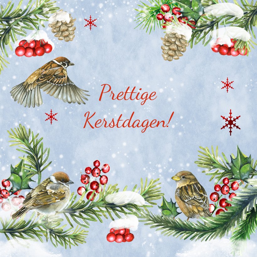 Kerstkaart vogeltjes in sneeuw Kerstkaarten Kaartje2go