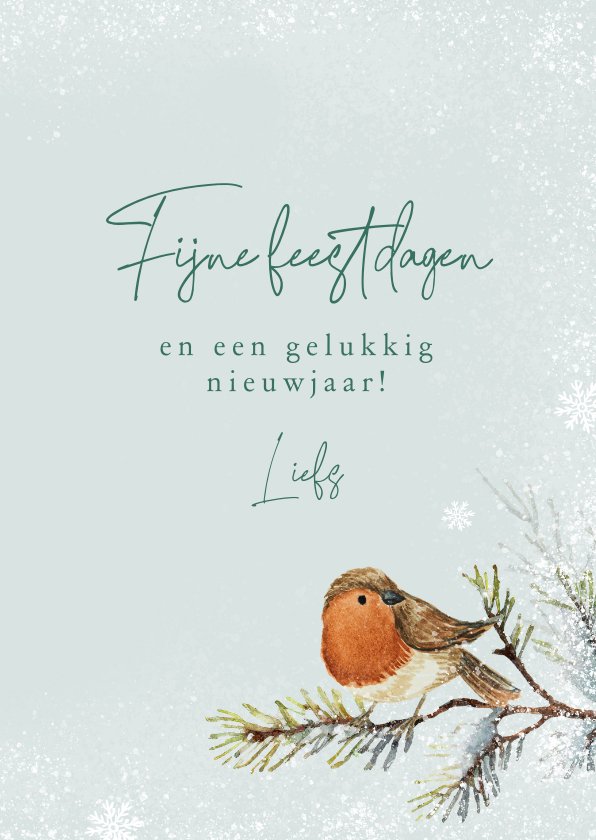 Kerstkaart Waterverf Roodborstjes Winter | Kaartje2go