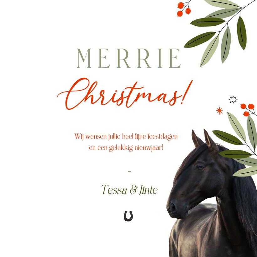 Leuke kerstkaart merrie christmas met paard en Kaartje2go