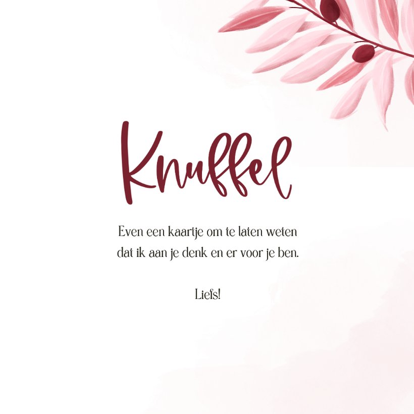 lief-kaartje-knuffel-met-roze-olijftakjes-en-kaartje2go