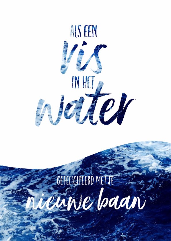 Nieuwe baan als een vis in het water Kaartje2go