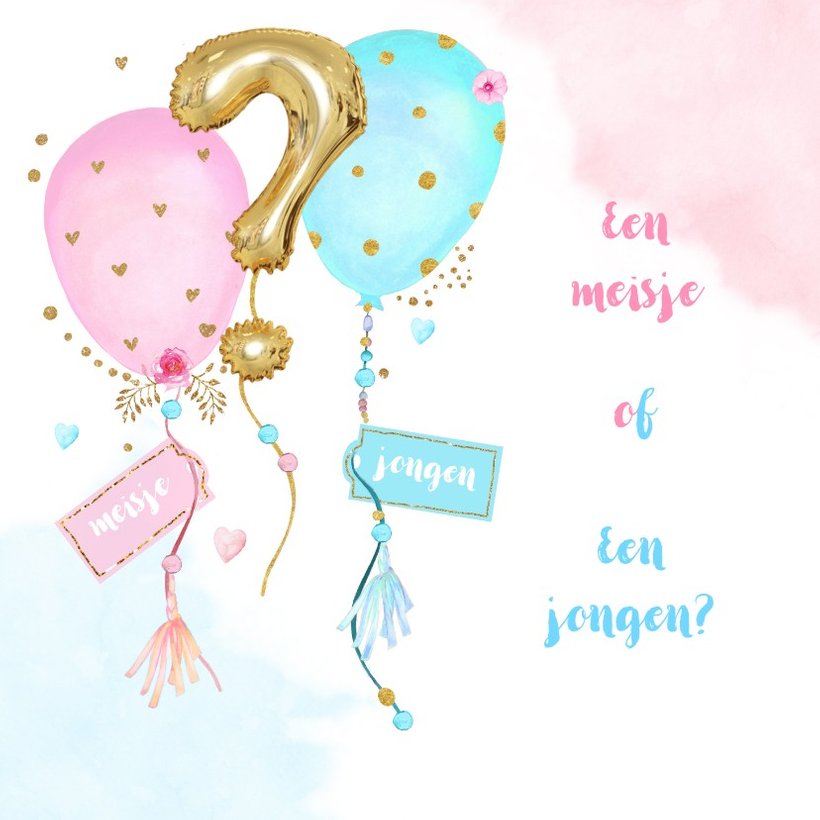 Uitnodiging Gender Reveal Party Balonnen Kaartje2go 