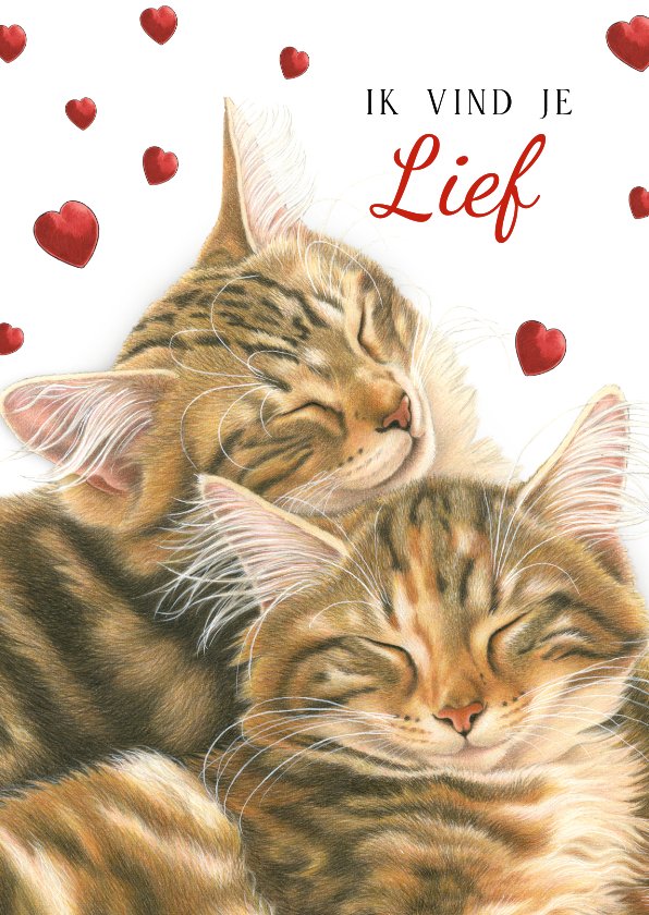 2PCS BFF Kettingen, Schattige Maan Mark kat Hanger Kettingen Kettingen, Zwarte kat Witte kat Beste Vrienden voor Altijd Ketting voor 2, Valentijn Vriendschap Sieraden Cadeaus voor Meisjes Jongens