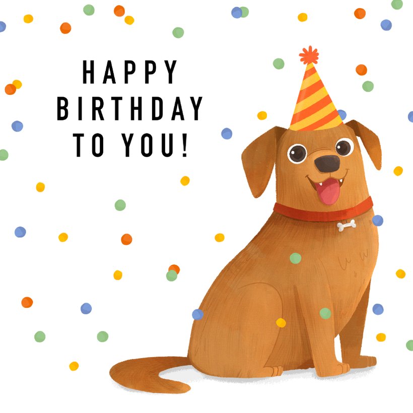 Verjaardagskaart Hond Confetti Happy Birthday | Kaartje2go