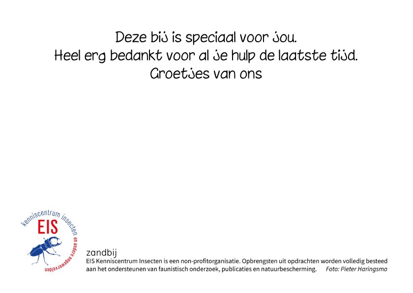 Dierenkaart met een bezige bij in paarse bloem | Kaartje2go