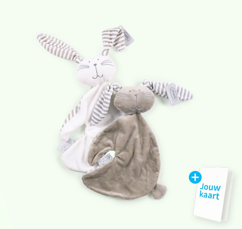 Cadeauset knuffelkonijntjes