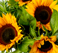 Zonnebloemen boeket 2