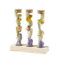 Droogbloemen in flesjes 1