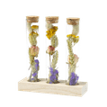 Droogbloemen in flesjes  1