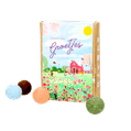 Zaadbommetjes ‘Kleurrijke groetjes’ 1
