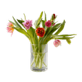 Gemengde tulpen 1