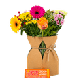 Bloemen + Tony’s pakket ‘Topper’ 1