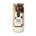 Pineut DIY pot met koekjesmix 1