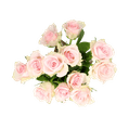 Verse roze brievenbusrozen 3