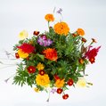 Duurzaam herfstboeket (groot) 2