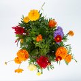 Duurzaam herfstboeket (medium) 2