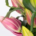 Boeket roze lelies 2